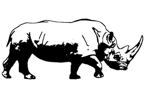 Rhino vinyl sticker for car - vinyl,