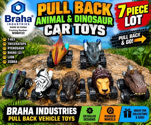 Braha ind lot - 7, pull